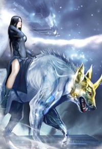 逐梦芳华