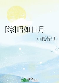 （无CP/综武侠同人）[综]昭如日月