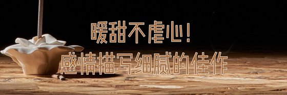 暖甜不虐心！感情描写细腻的佳作